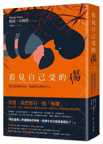 看見自己受的傷：覺察深層的內在，擁抱更完整的自己[二手書_良好]