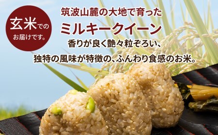 令和5年産 茨城県産 ミルキークイーン 玄米（5kg×1袋） 原料米調整地:茨城県土浦市 便利な少量5kgでのお届け。このお米は石抜き機、色彩選別機の処理済みです。 ※離島への配送不可 ※2023年9月下旬頃より順次発送予定