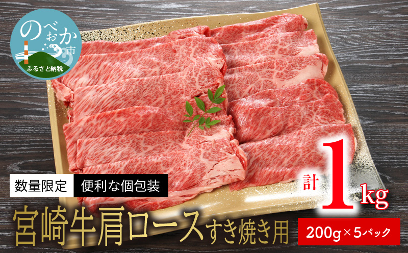 ふるさと納税 訳あり 飛騨牛ブロック [塊] 計1kg 霜降り肉 赤身肉 500g