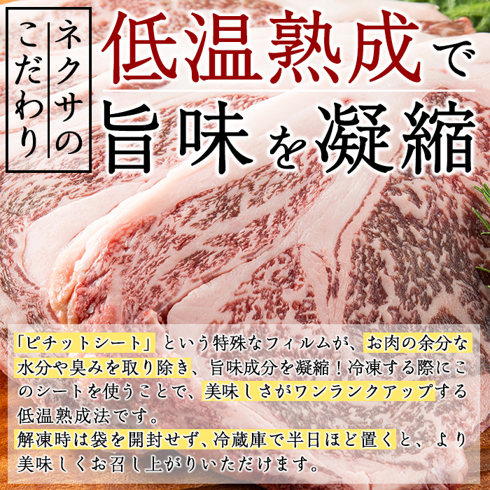 おおいた和牛 リブロースステーキ (計1kg・リブロースステーキ約250ｇ×4枚 ステーキソース20g×4袋) 国産 牛肉 肉 霜降り 低温熟成 ステーキ A4 和牛 ブランド牛 BBQ 冷凍 大分県 佐伯市