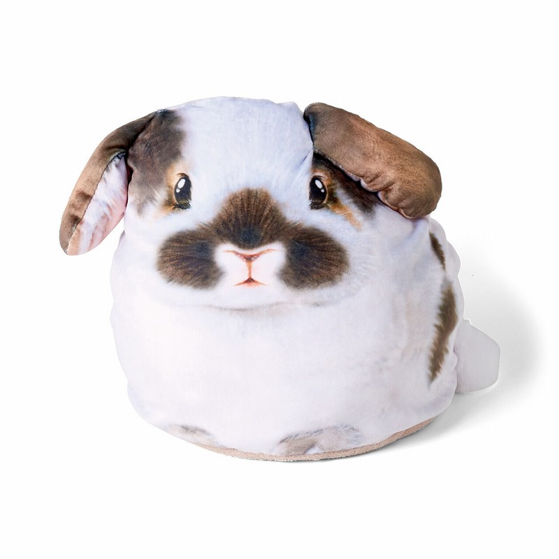 まったりくつろぐ うさぎのふっくらクッションの会 YOU+MORE まったりくつろぐ うさぎのふっくらクッションの会 YOU+MORE
