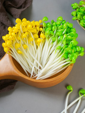 【滿299出貨】仿真豆芽模型蔬菜塑料軟pu模型假蔬菜擺件裝飾拍攝道具玩菜品具