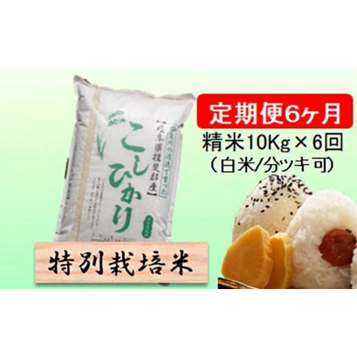 ふるさと納税 岐阜県 池田町 令和５年産　特別栽培米★[定期便] 6カ月★毎月 精米10kg（白米／5分／7分ツキ可）  玄米は別に出品 [No.5644-1160…