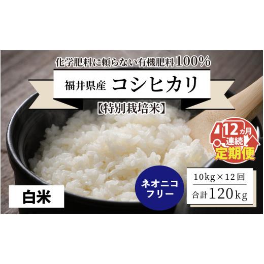 ふるさと納税 福井県 坂井市 福井県産 コシヒカリ 10kg 〜化学肥料にたよらない有機肥料100%〜 ネオニコ…