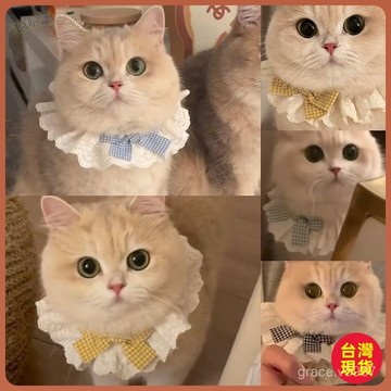 【純棉蕾絲圍脖】寵物圍巾 貓咪圍兜 狗狗圍嘴 蝴蝶結裝飾 口水巾 寵物領巾 貓咪領巾 貓領巾 貓咪圍兜兜 可愛飾品 純棉