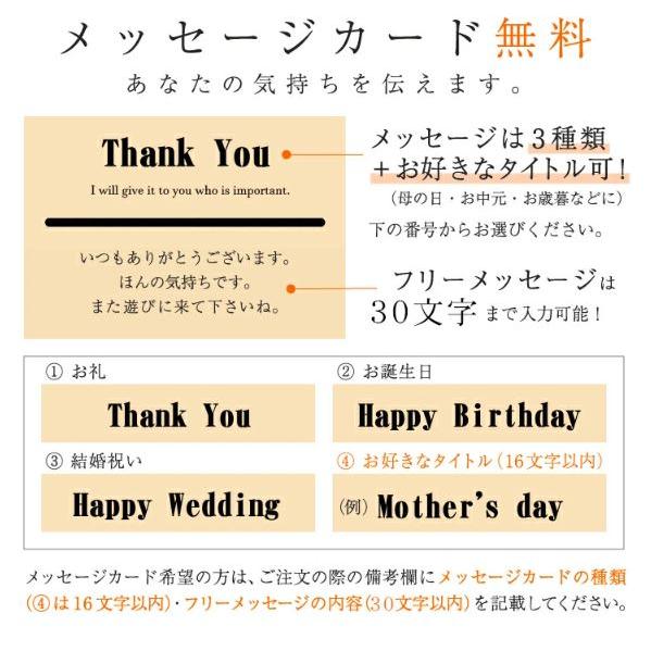 藤彩牛 サーロインステーキ 200g×2 送料無料 ギフト包装 二重包装で発送