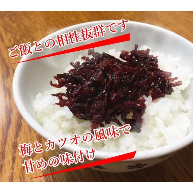 きくらげ 佃煮 2袋セット 子持ちきくらげ(ししゃもきくらげ) ラー油きくらげ 梅きくらげ ごま油きくらげ ポイント消化 送料無料 おかず ご飯のお供 おにぎりの具