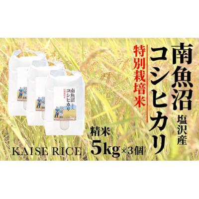 ふるさと納税 南魚沼市 南魚沼産塩沢コシヒカリ(特別栽培米)精米5kg×3個