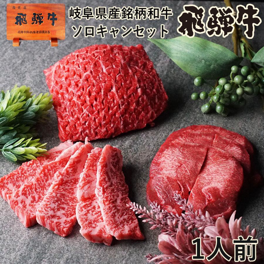 肉 福袋 牛肉 焼肉セット 1人前 飛騨牛入 ソロキャン  バーベキュー バーベキューセット 黒毛和牛 焼肉 お取り寄せグルメ