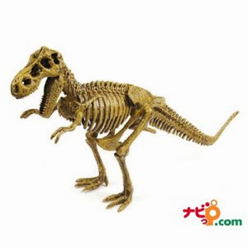 恐竜骨格模型 ジオワールド Geoworld 恐竜発掘セット ティラノサウルス T Rex Cl 1k 恐竜フィギュア 通販 Lineポイント最大1 0 Get Lineショッピング