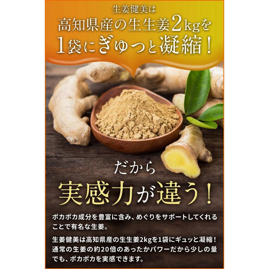 高知県産 生生姜100%使用 生姜パウダー 非遺伝子組み換え アレルゲンゼロ 添加物ゼロ 生姜健美 100g ショウガオール