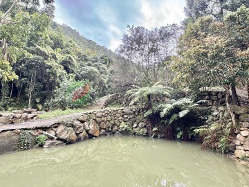南投國姓便宜好入手有水有電農牧地｜南投縣國姓鄉國姓段