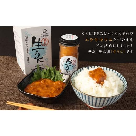 ふるさと納税 熊本県 上天草市 殻だし！生うに 120g(60g×2本)『熊本県天草産ムラサキウニ』無塩 無添加 ウニ 雲丹