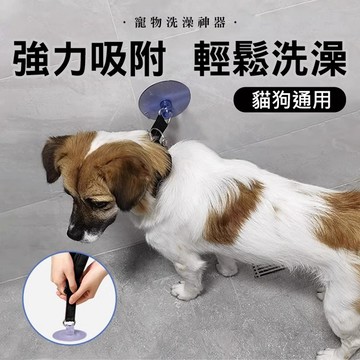 【解放雙手】貓咪洗澡神器 強力吸盤固定器 寵物洗澡防逃跑 貓咪美容束縛帶 穩定頸圈 剪指甲 吹毛不亂跑 台灣現貨