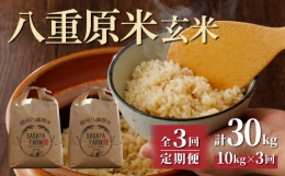 八重原米10kg（5kg×2袋）玄米