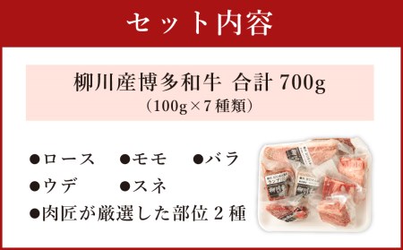 柳川産 博多和牛 1頭 お楽しみ セット 計700g 7種類×100g