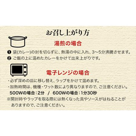 ふるさと納税 大分豊後牛ビーフカレー 10袋セット レトルト カレー ビーフ レトルト食品 和牛カレー お惣菜 大分県産 九州産 津久見市 国産 熨.. 大分県津久見市