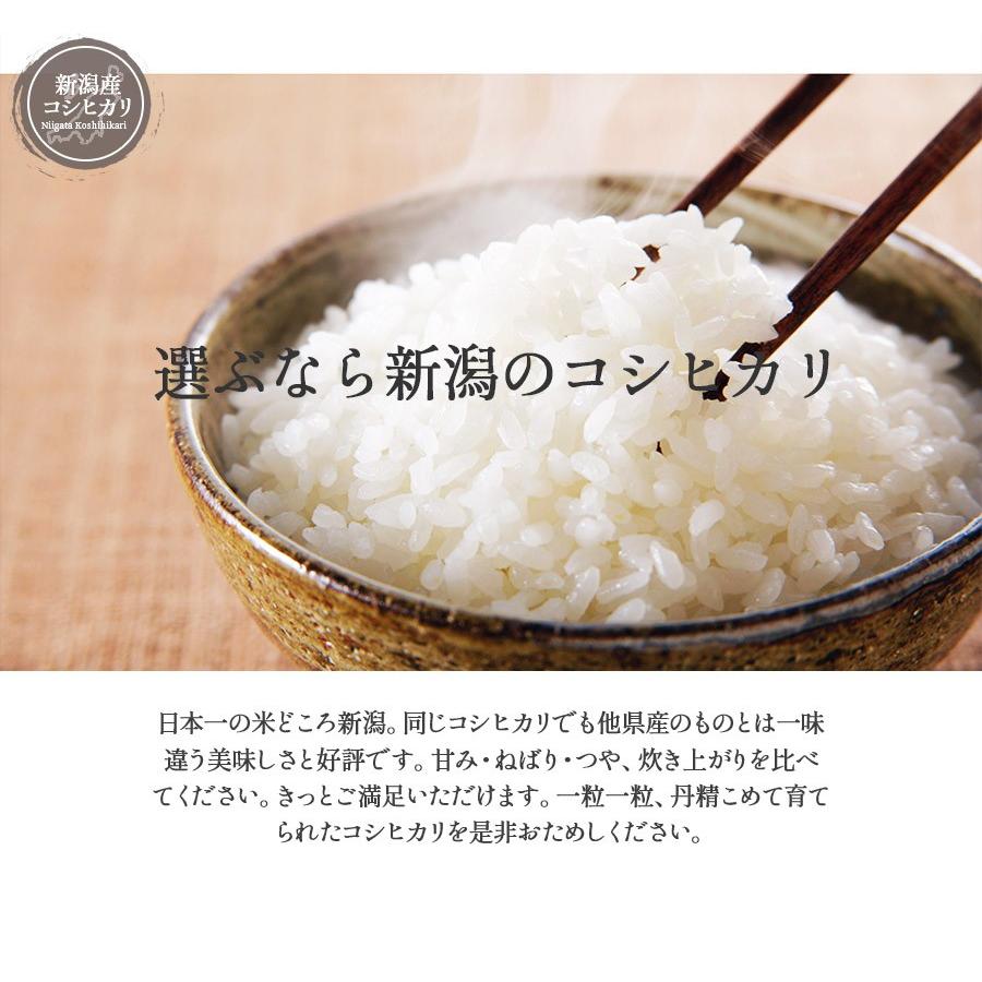 お米 2kg 白米 新米 令和5年産 新潟県産コシヒカリ 産地直送 米 国産 国内産 2キロ ブランド米 ギフト 贈答 お歳暮 お中元 父の日 母の日 敬老の日