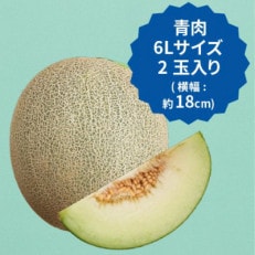 飯岡メロン　6Lサイズ(約2.2kg)×2玉セット(計約4.4kg)