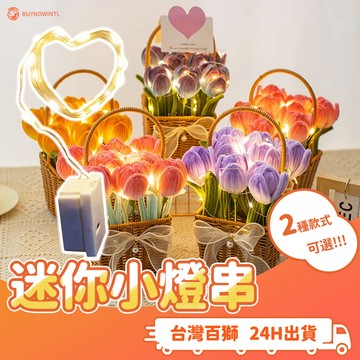 1米 LED 小燈串 發光 閃光 暖白 彩燈 燈串 燈帶 蛋糕 花束 裝飾燈串 禮物 禮盒 燈串 毛根 扭扭棒 DIY