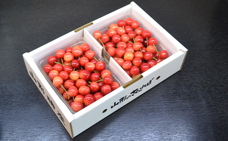 山形県産さくらんぼ 佐藤錦 秀品 L玉 1kg (500g×2パック) 化粧箱入り FSY-1092