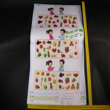 小學數學統計與概率教學掛圖 10幅 J50054 小學科學實驗器材