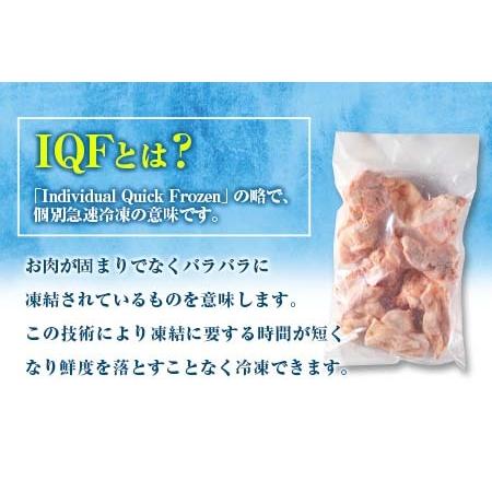 ふるさと納税 小分けで便利 カット済 若鶏 もも肉 計2.5kg 250g×10袋 肉 鶏 鶏肉 国産 おかず 食品 お肉 チキン 送料無料_B219-23 宮崎県日南市