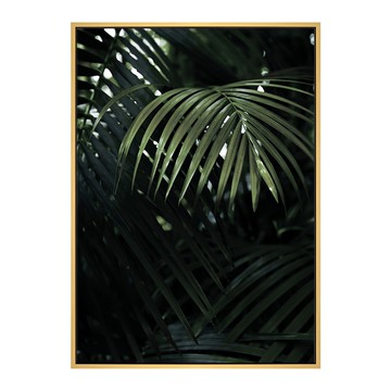 菠蘿選畫所 熱帶叢林  42 x 59.4cm  木色