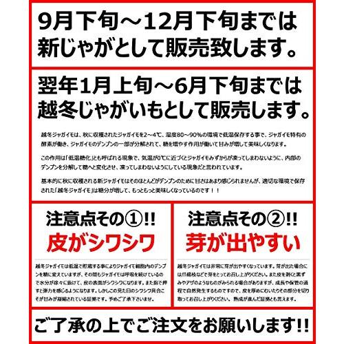 北海道産 じゃがいも ひと口 インカのめざめ 3kg(共撰 S-SSサイズ) 新じゃが 越冬 ジャガイモ 馬鈴薯 野菜 北海道 お取り寄せ