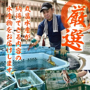 天然 鮮魚詰め合わせ (合計約2.8-3.2kg・3種以上) 直送 産直 漁師 魚 鮮魚 天然 マダイ 鯛 マアジ 鯵 イサキ サバ 鯖 ブリ 鰤 獲れたて 刺身 煮つけ 塩焼き 冷蔵 豊後水道 鮮魚