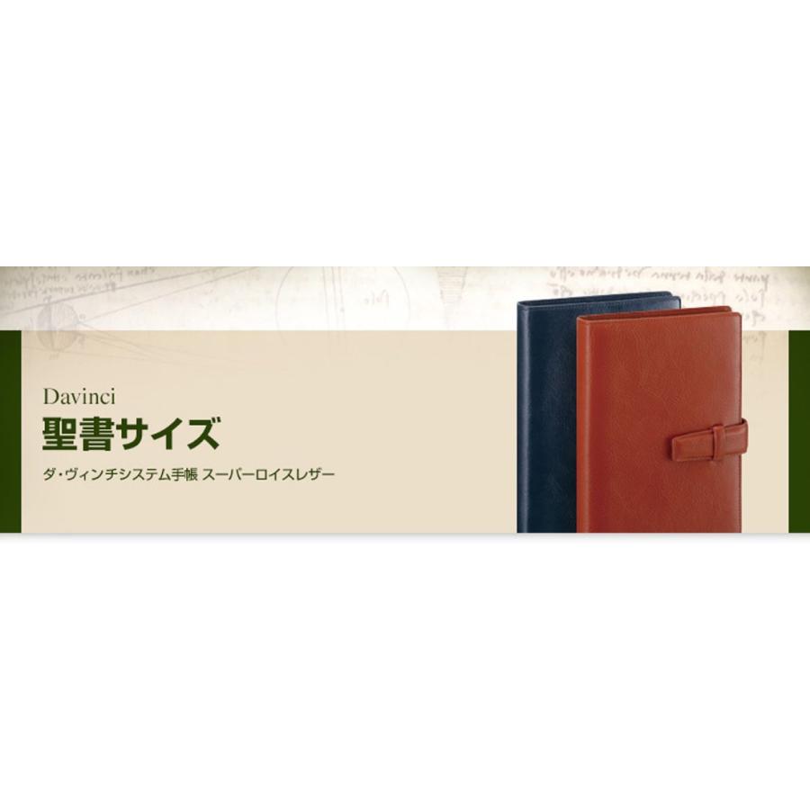 レイメイ藤井 システム手帳 ダヴィンチ スタンダード 聖書 グリーン DB3006M