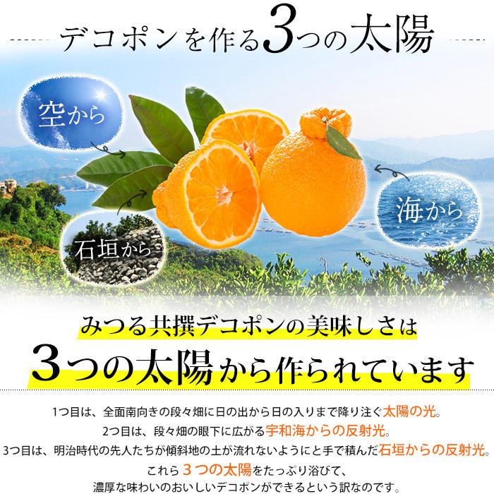 正規品・特秀品です！ みかん 愛媛県産 デコポン 特秀品 約5kg 2Lサイズ 20玉 蜜る 糖度14度以上保証