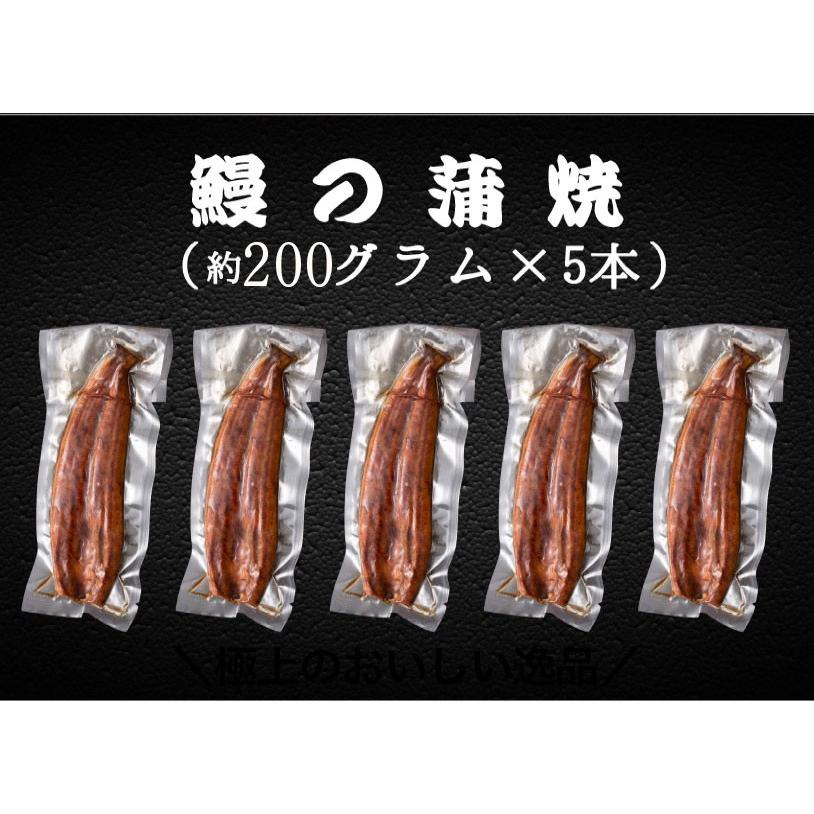 うなぎ 鰻 ウナギ 国産 うなぎ蒲焼  大サイズ蒲焼1尾 解凍前約200g(解凍後約185g) ×5