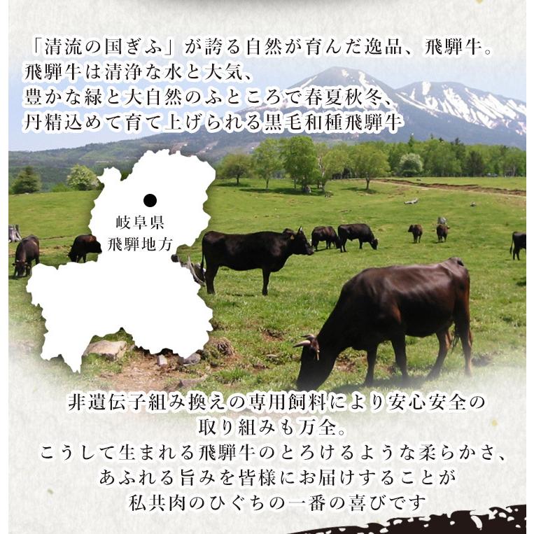 肉 牛肉  和牛 しゃぶしゃぶ 飛騨牛 かたロース肉 400g×1p 鍋 黒毛和牛 お取り寄せ グルメ