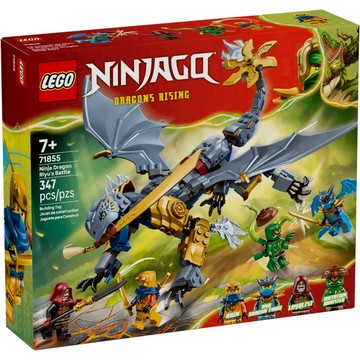 [樂享積木] LEGO 71855 忍者龍阿隆之戰 旋風忍者系列