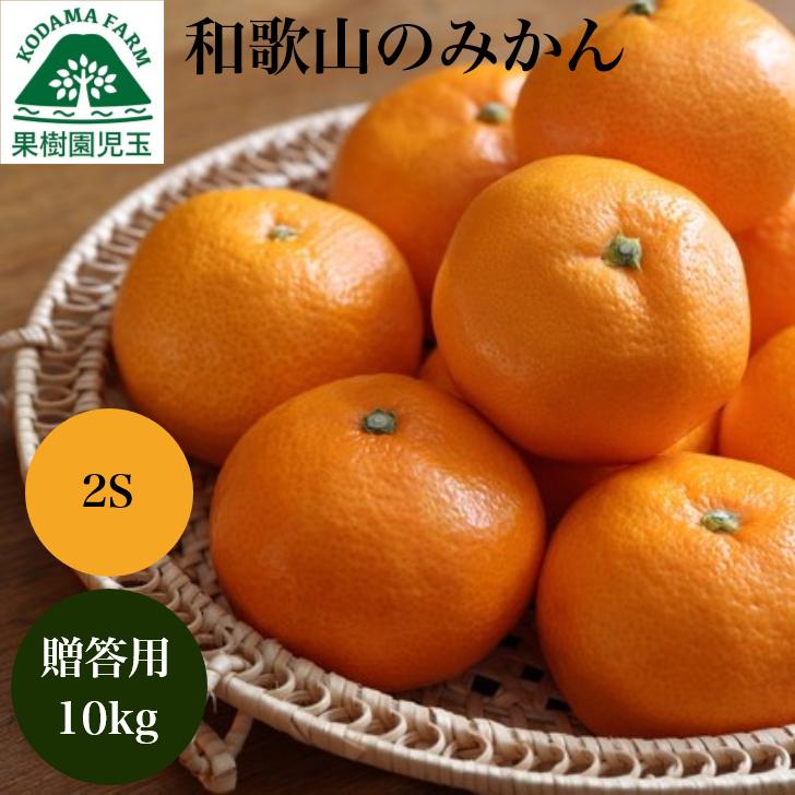 みかん お歳暮 ギフト 小玉みかん 10kg 贈答用 送料無料 和歌山 箱買い