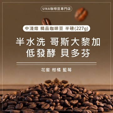 【烘焙前後人工挑除瑕疵豆】半水洗 哥斯大黎加 低發酵 貝多芬 咖啡豆 精品咖啡豆 半磅 227g