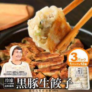 餃子 ぎょうざ 冷凍 鹿児島 ビッグファイブ 黒豚 豚肉 送料無料 生餃子 無添加 母の日 父の日 お中元 お