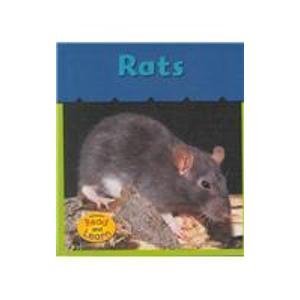 Rats (Heinemann Read  Learn)