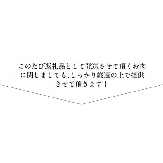 ふるさと納税 熊本県 御船町 熊本県産 あか牛 焼肉 ホルモン 900g 肉のみやべ《90日以内に順次出荷(土日祝除く)》熊本県産 熊本県 御船町