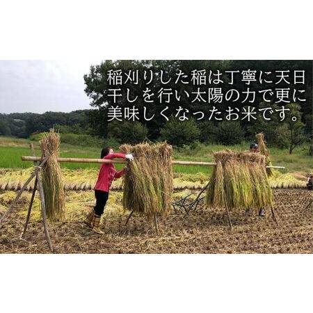 ふるさと納税 自然のかおり「かみひめ米」白米か玄米 5kg 白米 埼玉県鳩山町