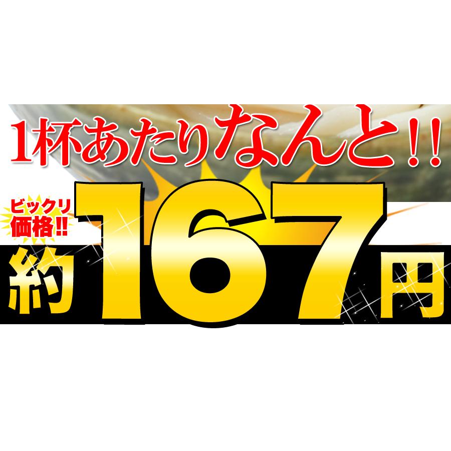 10％OFFクーポン配布中 生うどん 鎌田醤油特製ダシ醤油6袋付き!!讃岐うどん6食分600g（300g×2袋） 讃岐うどん つゆ付き 生うどん 産地直送