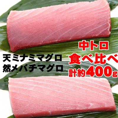 ふるさと納税 室戸市 こだわりの天然ミナミマグロ　天然メバチマグロ食べくらべセット　中トロ各1柵