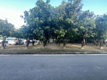 台中市大里區甲種建築用地/農牧用地｜台中市大里區大里段