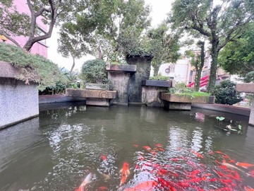 潤泰視野採光二房平車｜新北市淡水區大忠街