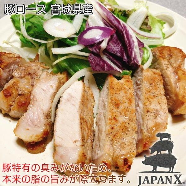 豚ロース とんかつ ステーキ 極厚切り 5枚 約1kg 豚肉 ポーク 国産 蔵王牧場 JAPAN X