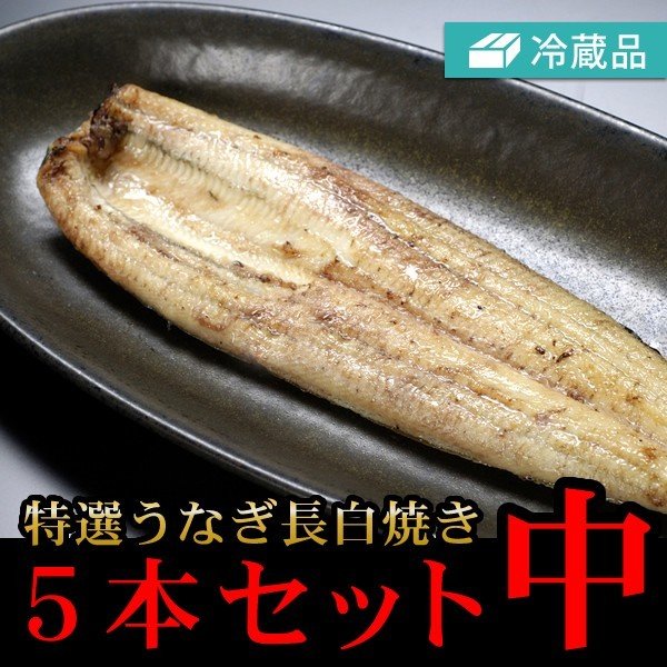 冷蔵特選うなぎ長白焼き中5本セット