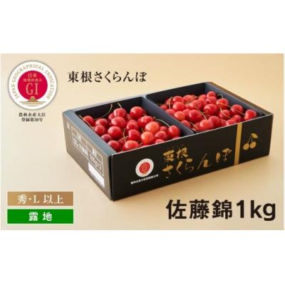 ふるさと納税 東根市 GI「東根さくらんぼ」 さくらんぼ山形牛コース(2024年6月スタート)