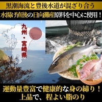 ぶり・真鯛・かんぱち・生アトランサーモンの漬け丼4種食べ比べセット　100g×8袋　B060