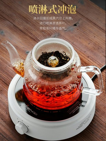 煮茶壺玻璃加厚紅茶茶具蒸茶器煮茶電陶爐套裝家用泡茶專用燒水壺
